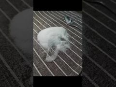 কারণ দেখুন কেন 40-80 মেশ MSM পাউডার বেছে নিবেন যা GC পদ্ধতি ব্যবহার করে পরীক্ষা করা হয়েছে এবং এতে মোট ভারী ধাতু 3 রয়েছে